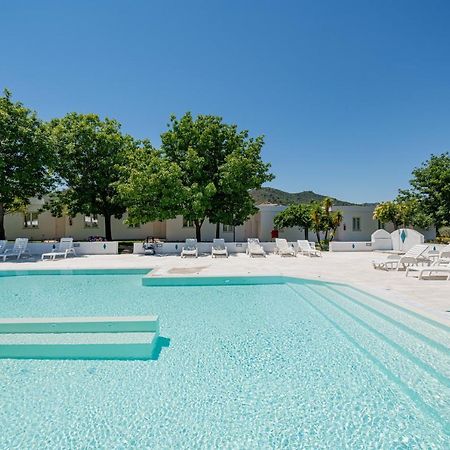 Hotel Le Mimose San Teodoro  Luaran gambar